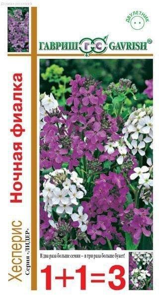 Хесперис Ночная фиалка, смесь 0,6 г сер. 1+1 Н14 фото