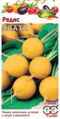Редис Злата фото