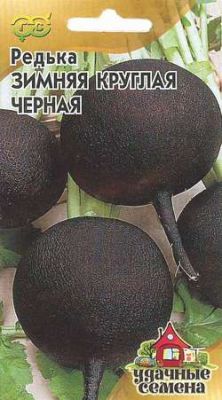 Редька Чернавка фото