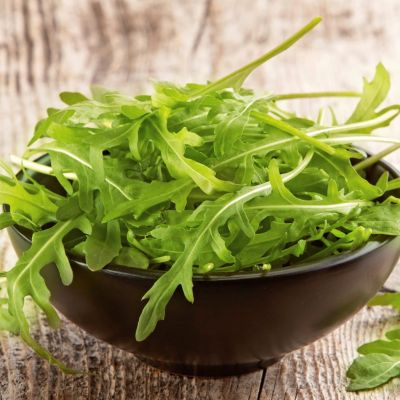 Индау (Руккола) культурная Итальянская фото