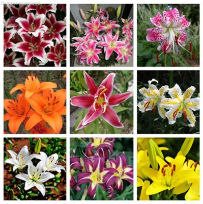 Подарок за подписку! Подарок за подписку! фото