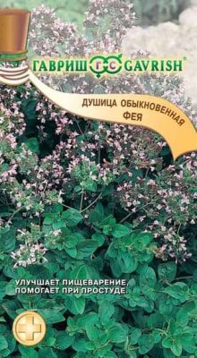 Душица Фея (орегано) Душица Фея (орегано) фото